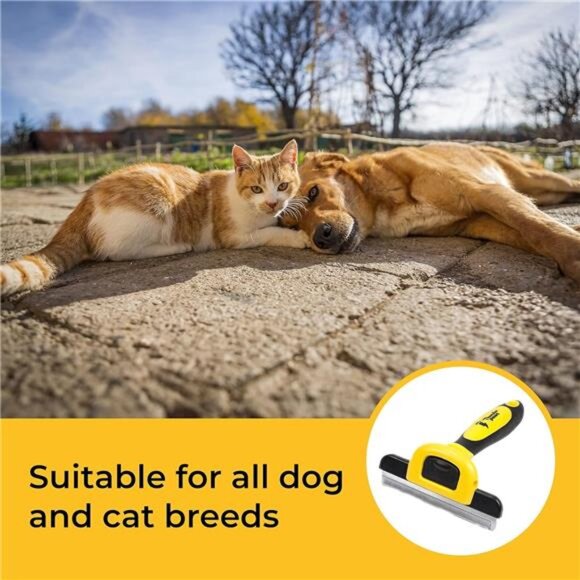 Best Professional De-Shedding Tool and Pet Grooming Brush, D-Shedz for Breeds - Picture 5 of 7